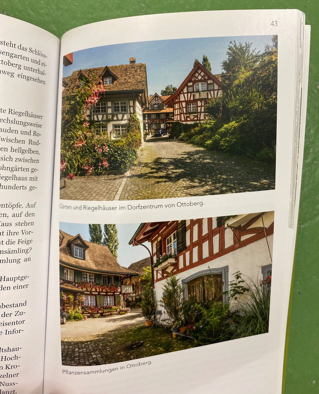 Libri: Gartenwege der Schweiz – Usato da Basel venduto da Ostschweiz06 2