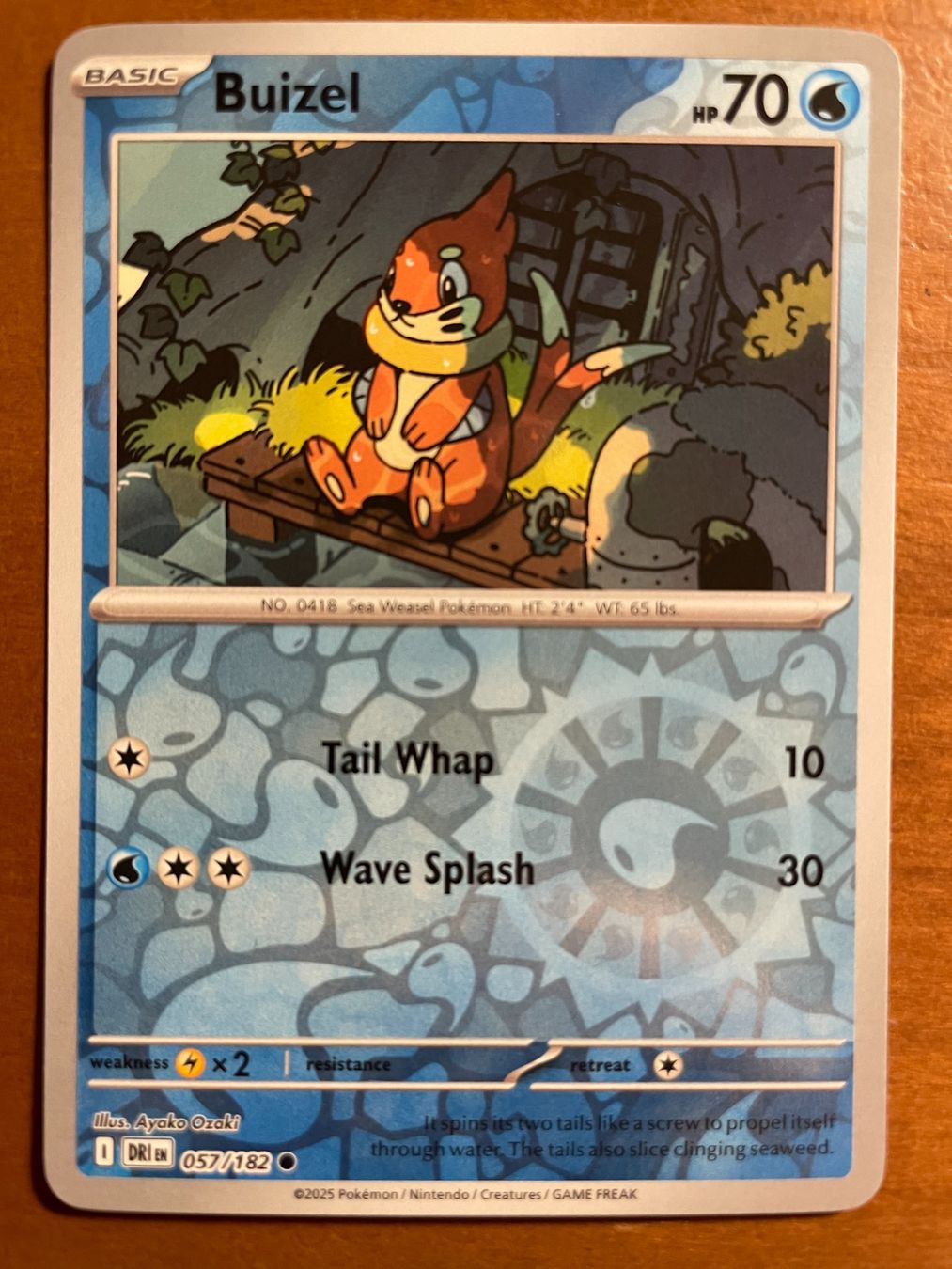 Pokémon Carte collezionabili: Pokemon Buizel Reverse (Versand gratis) – Nuovo (secondo la descrizione) da Chur venduto da Angerson