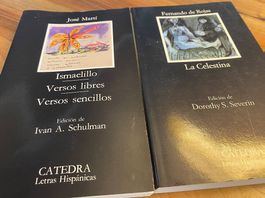 Spanische Literatur "Catedra Letras Hispànicas" 5 Bücher