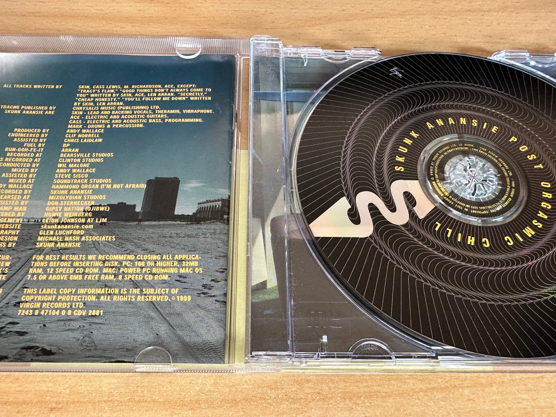 CD: Skunk Anansie – Post Orgasmic Chill – Usato da Rikon im Tösstal venduto da Alpenmutz 2