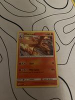 Charizard Holo / Detective Pikachu
