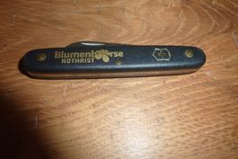 Victorinox, Messer, Blumenbörse Rothrist, neu