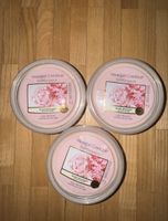 3 Yankee Candle Scenterpiece Blush Bouquet 61g neu