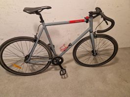 Fixie/Single Speed Velo, Fixie Inc. Gr L 58cm