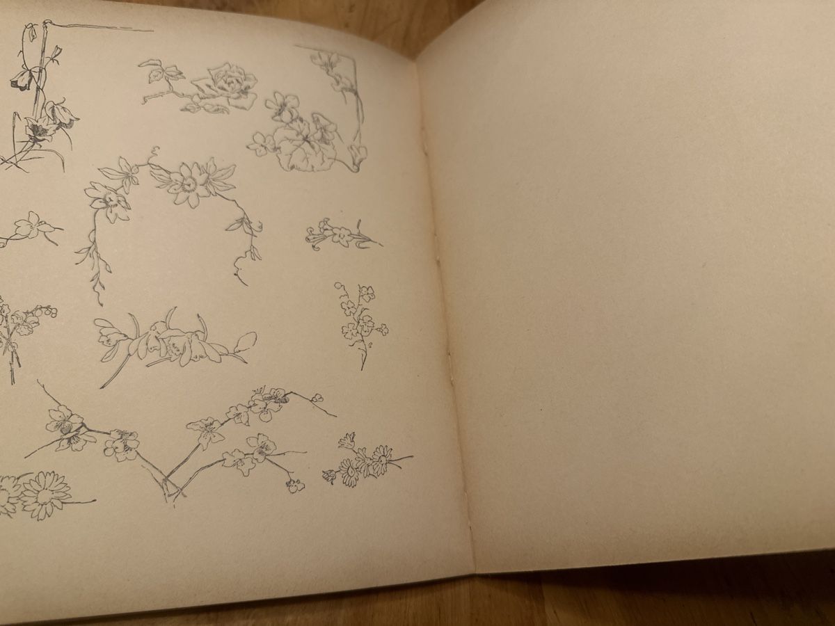 Bücher: Antikes Mal- und Zeichenbuch "Aus der Blumenwelt" – Gebraucht aus Frauenfeld von aluma14 4