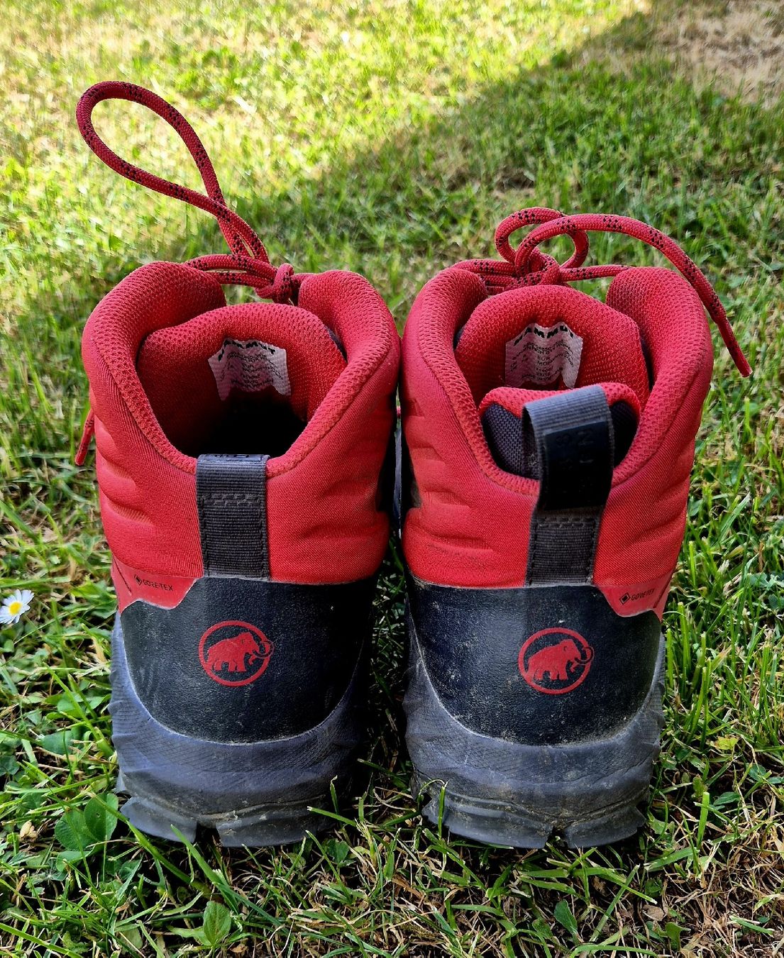 Mammut Scarpe da uomo: Mammut Sapuen High GTX Wanderschuhe – Usato da Rikon im Tösstal venduto da Shaggy03 2
