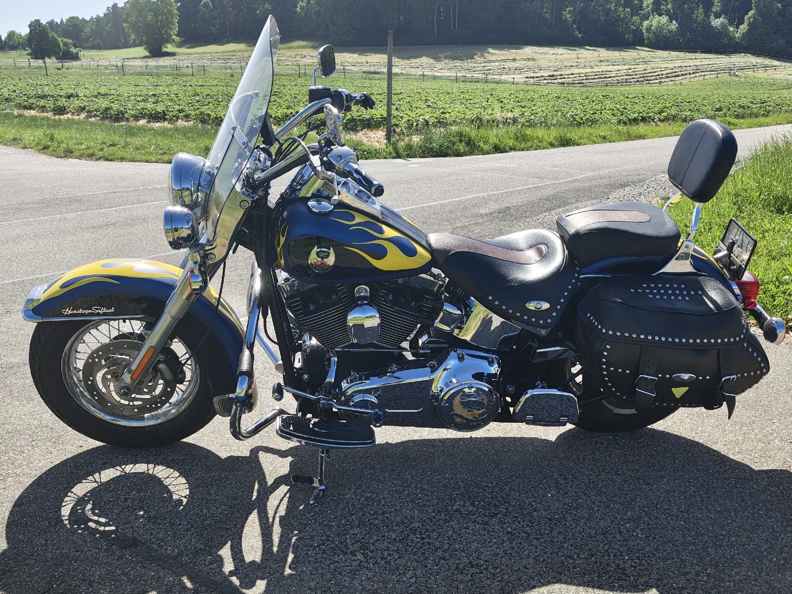 Harley-Davidson Chopper: Harley Davidson Softail classic, frisch ab service. – Gebraucht aus Lufingen von DannyT01 3