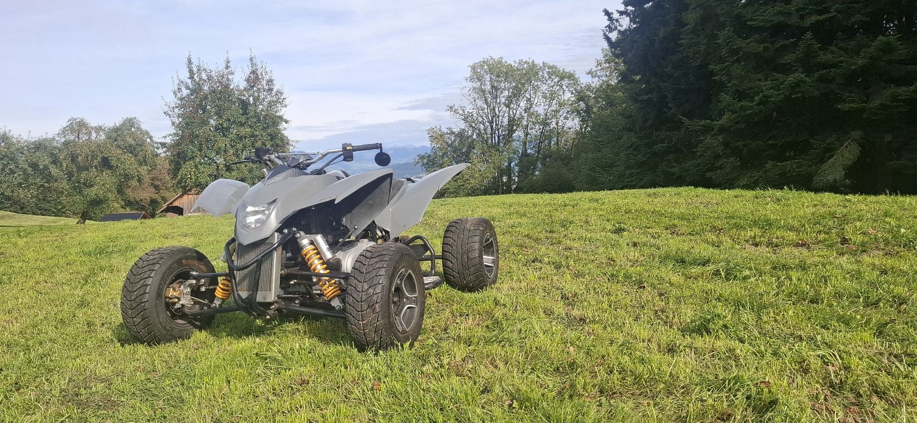 Smc (Sm) ATV / Quad: Quad SMC Trasher 320 SM – Usato da Pfäffikon SZ venduto da Msteiner1402 2