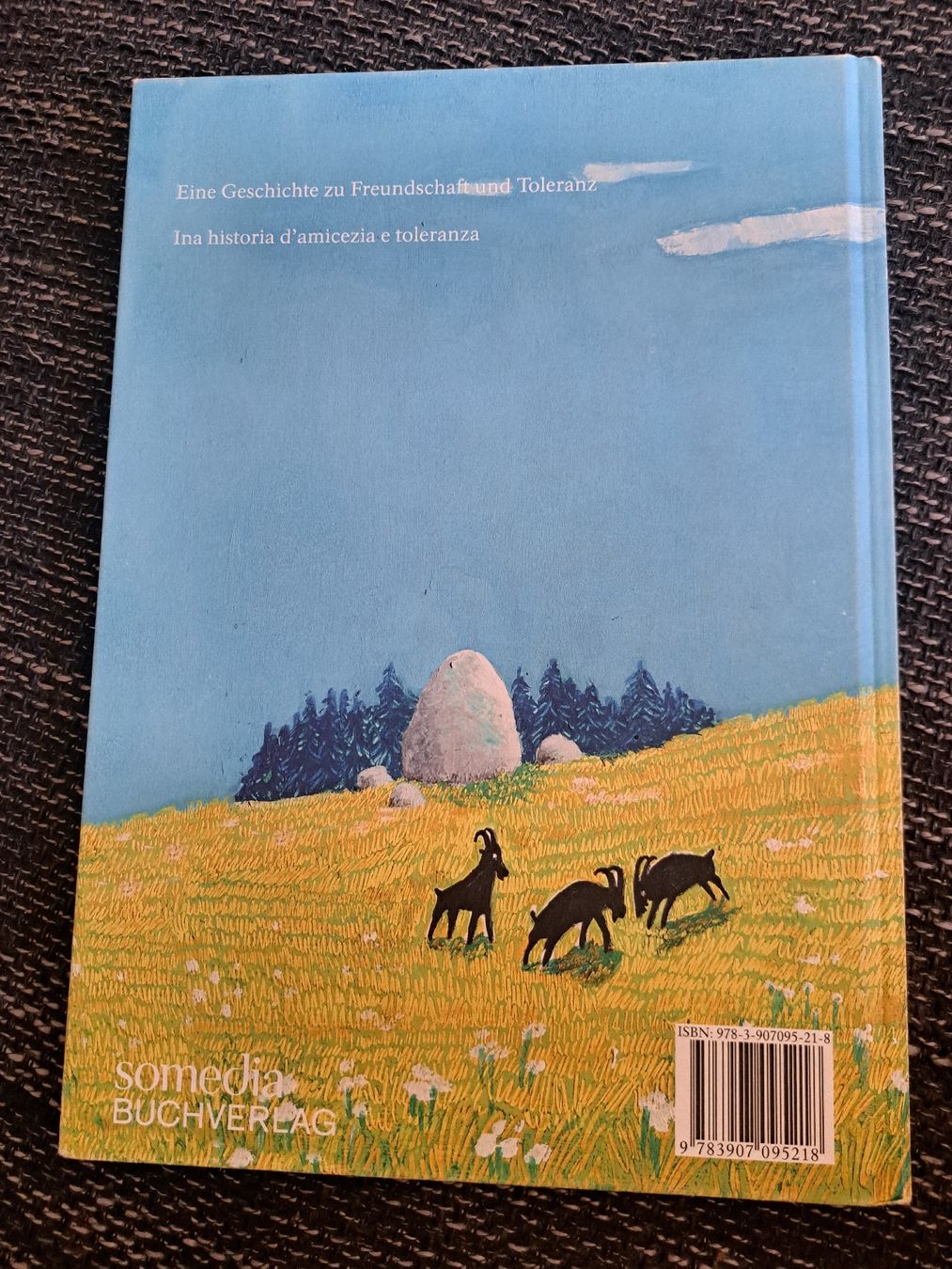 Libri: Bilderbuch "Giugiu und Roro" – Nuovo (secondo la descrizione) da Luzern venduto da pumi24 1