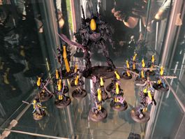 Warhammer 40K: Eldar-Armee, bemalt