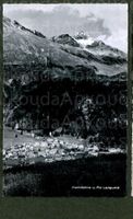 AK sw Pontresina GR von oben mit Piz Languard ≈ 1957