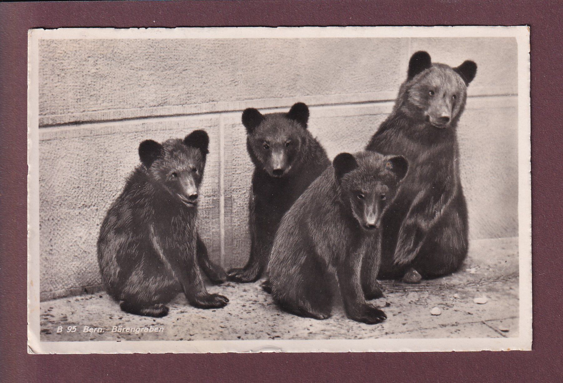 Cartoline postali: BERN - Bärengraben - 1943 – Usato da Pully venduto da nicecards