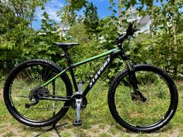 Mountainbike Stevens Tonga 29“