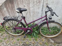 3x Fahräder guter Zustand