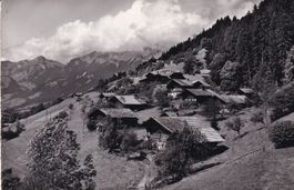 Nidfluh   BE  bei Därstetten       um  1 9 6 1