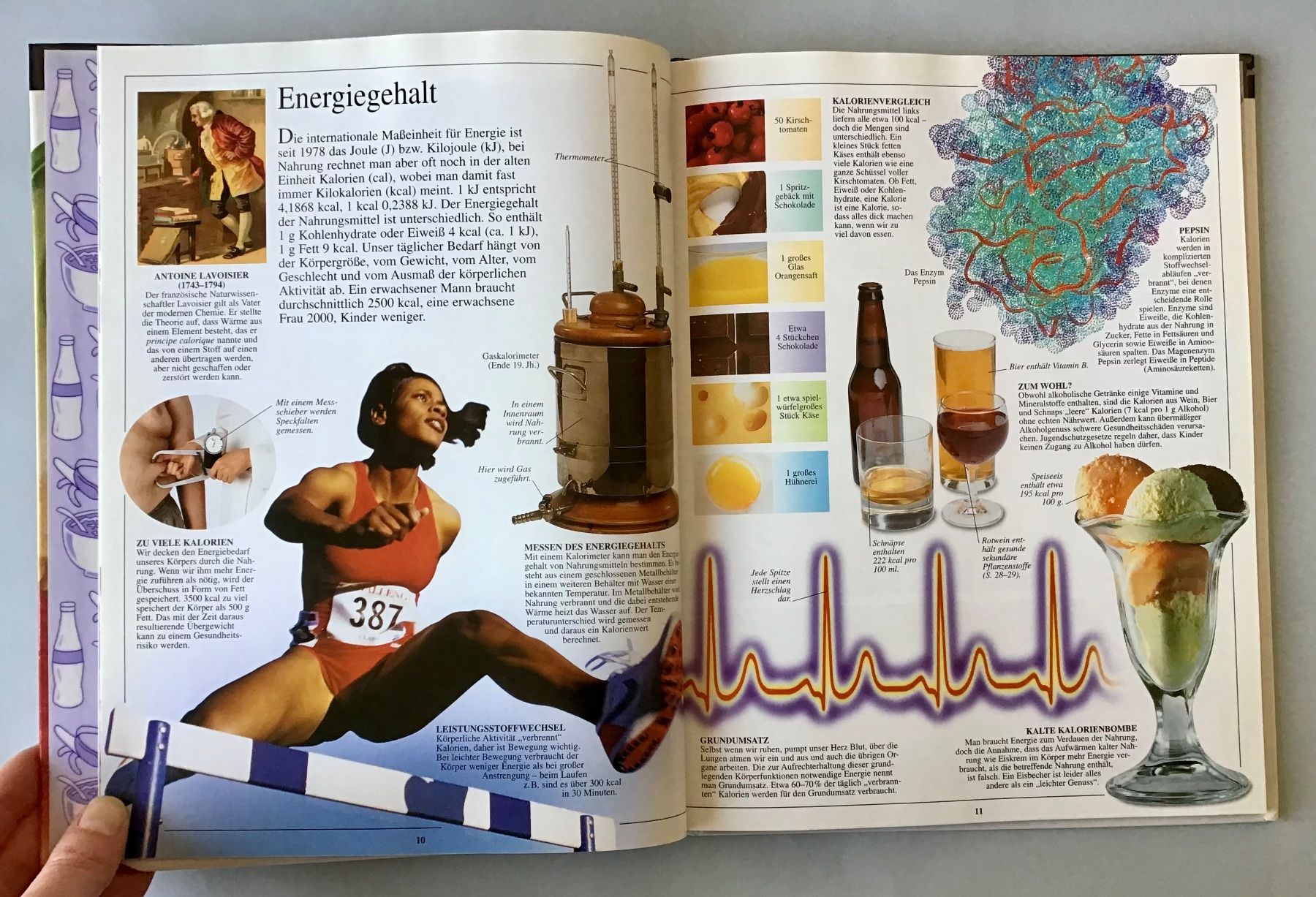 Libri: Sehen, Staunen, Wissen: ERNÄHRUNG – Nuovo (secondo la descrizione) da Bubendorf venduto da Alpenheidi 7