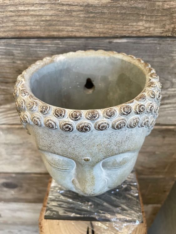 Buddhas Blumentopf/Pflanzbste,/Wandmodell/Pflanztopf//Neu (Neu und  originalverpackt) in Volketswil fr CHF 13  mit Lieferung auf Ricardo  kaufen