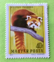 Briefmarken aus Ungarn gestempelt Siehe Original Fotos. 