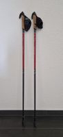 Nordic Walking Stöcke (chung shi) 105cm