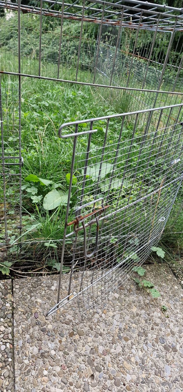 Käfige, Transport & Sicherheit: Freigehege Drahtkorb gebraucht gross – Gebraucht aus Romanshorn von REALJessiB 1
