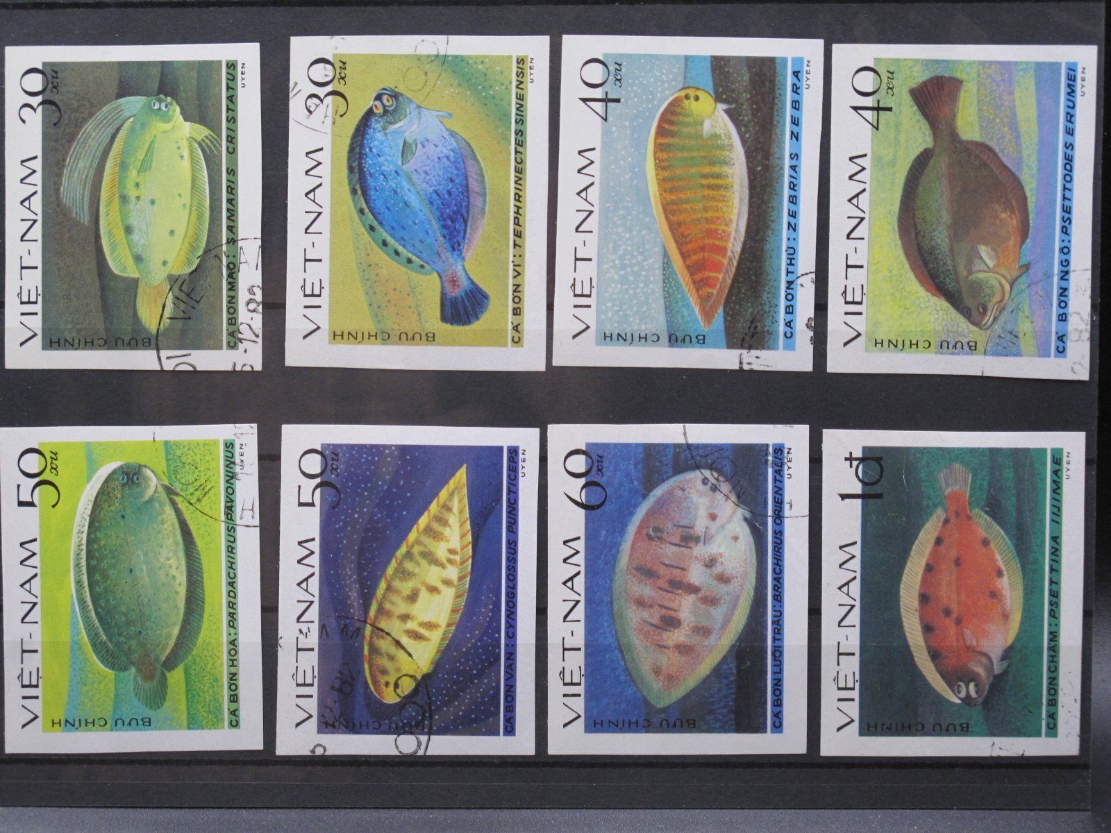 Tutti i francobolli: Vietnam 1982 Plattfische gest. geschn. – Usato da Wil SG venduto da fva01