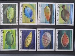 Vietnam 1982 Plattfische gest. geschn.