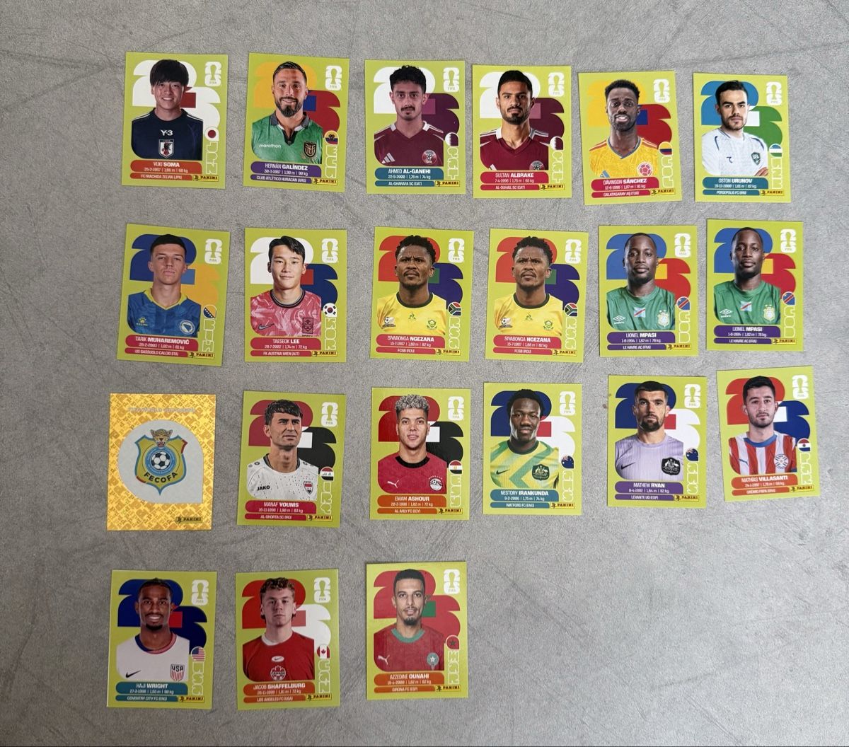 Panini Carte collezionabili: Panini WM 2026 Sticker Collection – Nuovo (secondo la descrizione) da Steffisburg venduto da Marlise_000