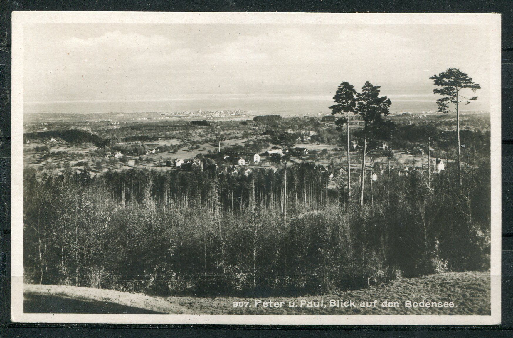 Cartoline postali: Wildpark Peter & Paul  St. Gallen  Blick auf den Bodensee – Usato da Aarau venduto da kufi44