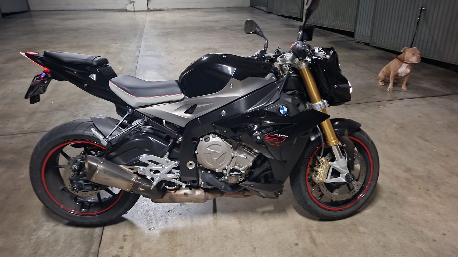 Strada: BMW S1000R 2015 – Usato da Cointrin venduto da XaviSilva