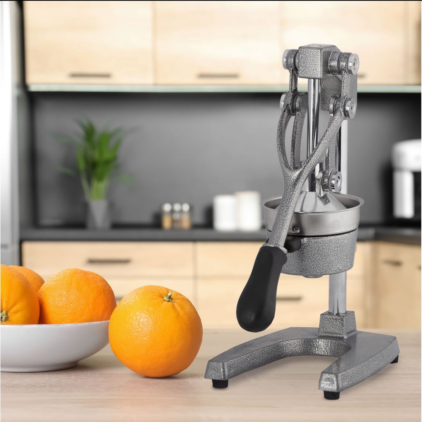 Elettrodomestici da cucina: Saftpresse manuell Profi mit Hebel – Nuovo e nell'imballaggio originale da Bülach venduto da Palawan 8
