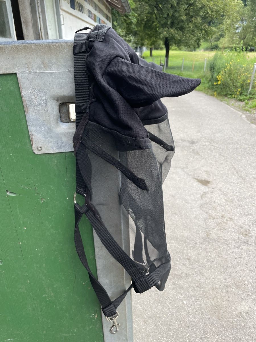 Briglie & Cavezze: Halfter / Fliegenhaube – Usato da Ortschwaben venduto da JeepOverland 2