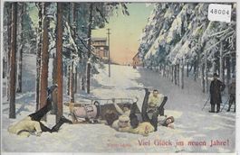 Viel Glück im neuen Jahre! Winter-Idylle - Schlitten-Plausch