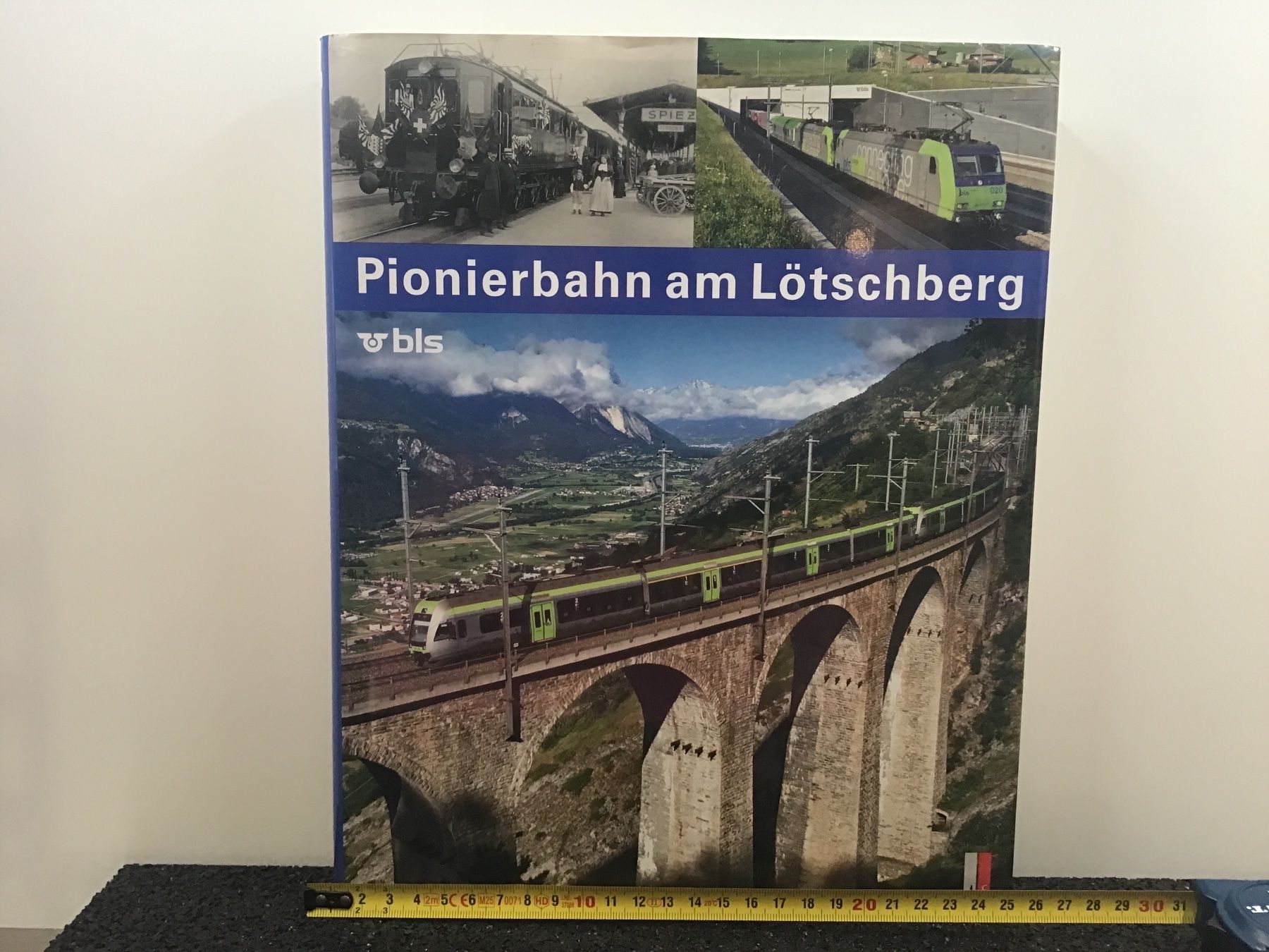 Libri: PIONERBAHN AM LÖTSCHBERG – Usato da Männedorf venduto da Spezial-Modelle