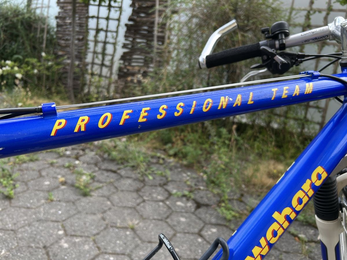 Kuwahara Biciclette: Kuwahara MTB XT – Usato da Langenthal venduto da Betaride 1