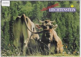 Faszinierendes Liechtenstein - Gastland