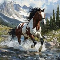 Diamond Painting Pferd im Wasser-1-80x80-1225
