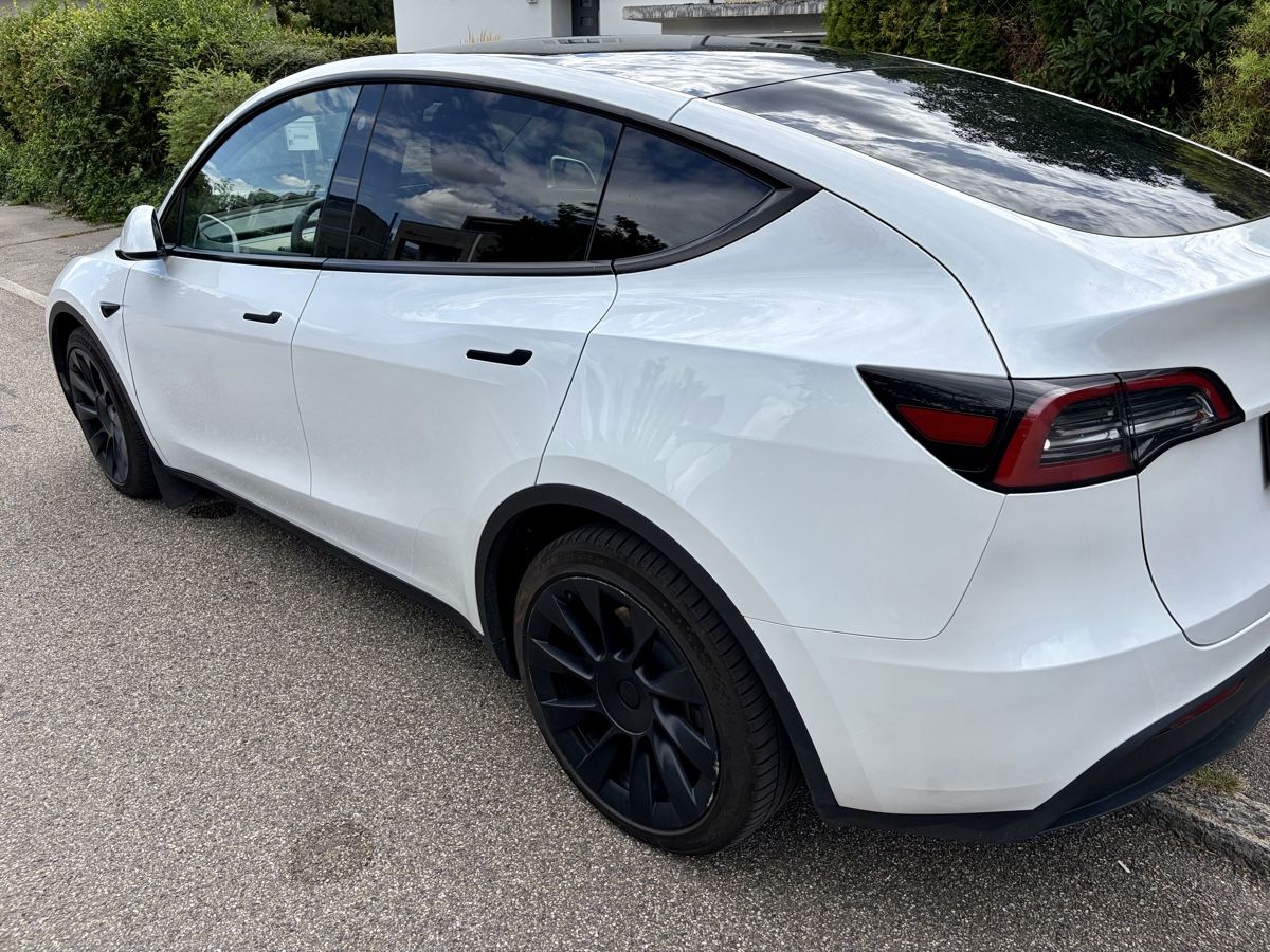 Tesla Automobili: Tesla Modell Y RWD – Usato da Solothurn venduto da Iustus 8