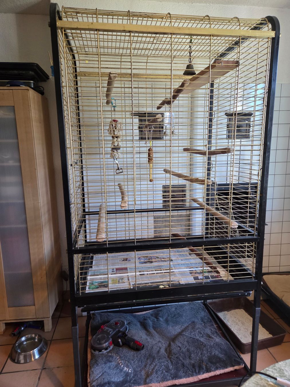 Cages, transport & sécurité: Papageien Voliere – D'occasion à Kefikon TG par barbarabolli 1