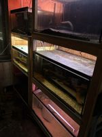 Aquarium Zuchtregal