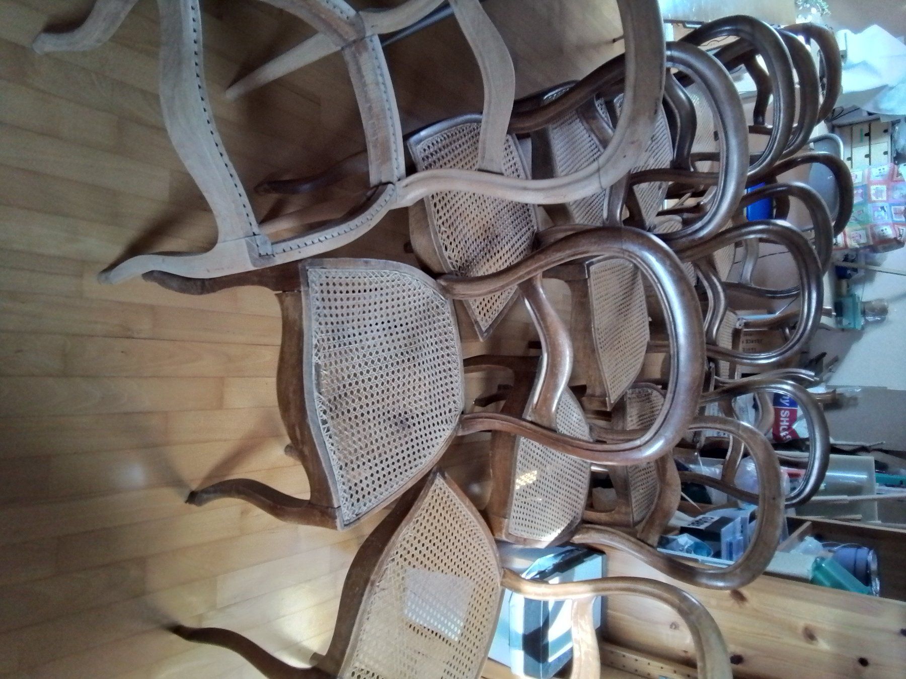 Sedie: 12 chaises canée – Difettoso da Etagnières venduto da Salka 4