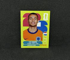 Cody Gakpo Panini 2026 NED20 Sticker RARE - NED 20