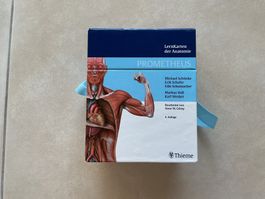 Prometheus Lernkarten Anatomie 5. Auflage