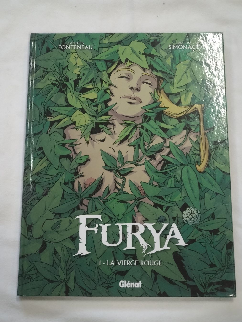 Comics: Furya 1 - La Vierge Rouge - Fonteneau / Simonacci - EO TBE – Gebraucht aus Farvagny-le-Grand von LaCaverne