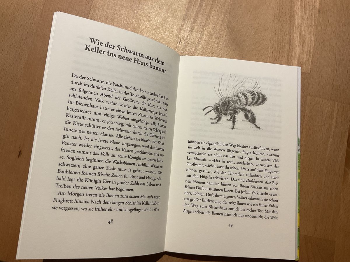 Bücher: Das Bienenbuch Jakob Streit 7+ – Neu (gemäss Beschreibung) aus Wil ZH von RiccardaWegmann 8