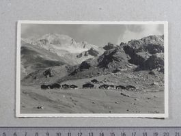 Lötschental, Laucheralp
