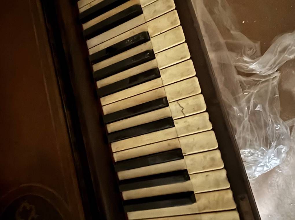 Strumenti musicali: Holzklavier – Usato da Bigenthal venduto da Nathan1898 4