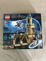 LEGO Harry Potter 76401  Hogwarts Innenhof: Sirius Rettung