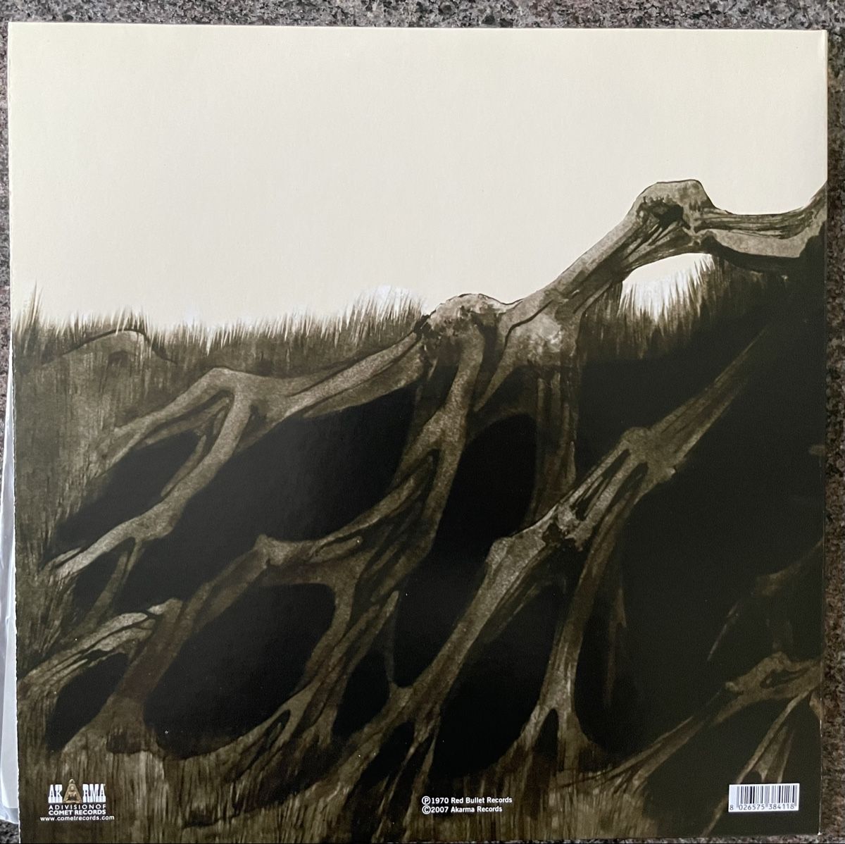 Dischi in vinile: Earth and Fire - same - AKARMA - Vinyl LP – Usato da Olten venduto da Bluespapst 1