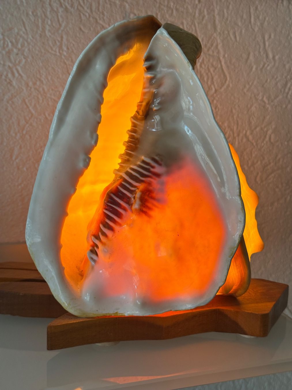 Lampes: Tischlampe "Gehörnte Helmschnecke" – D'occasion à MURI b. Bern par Anda1 3