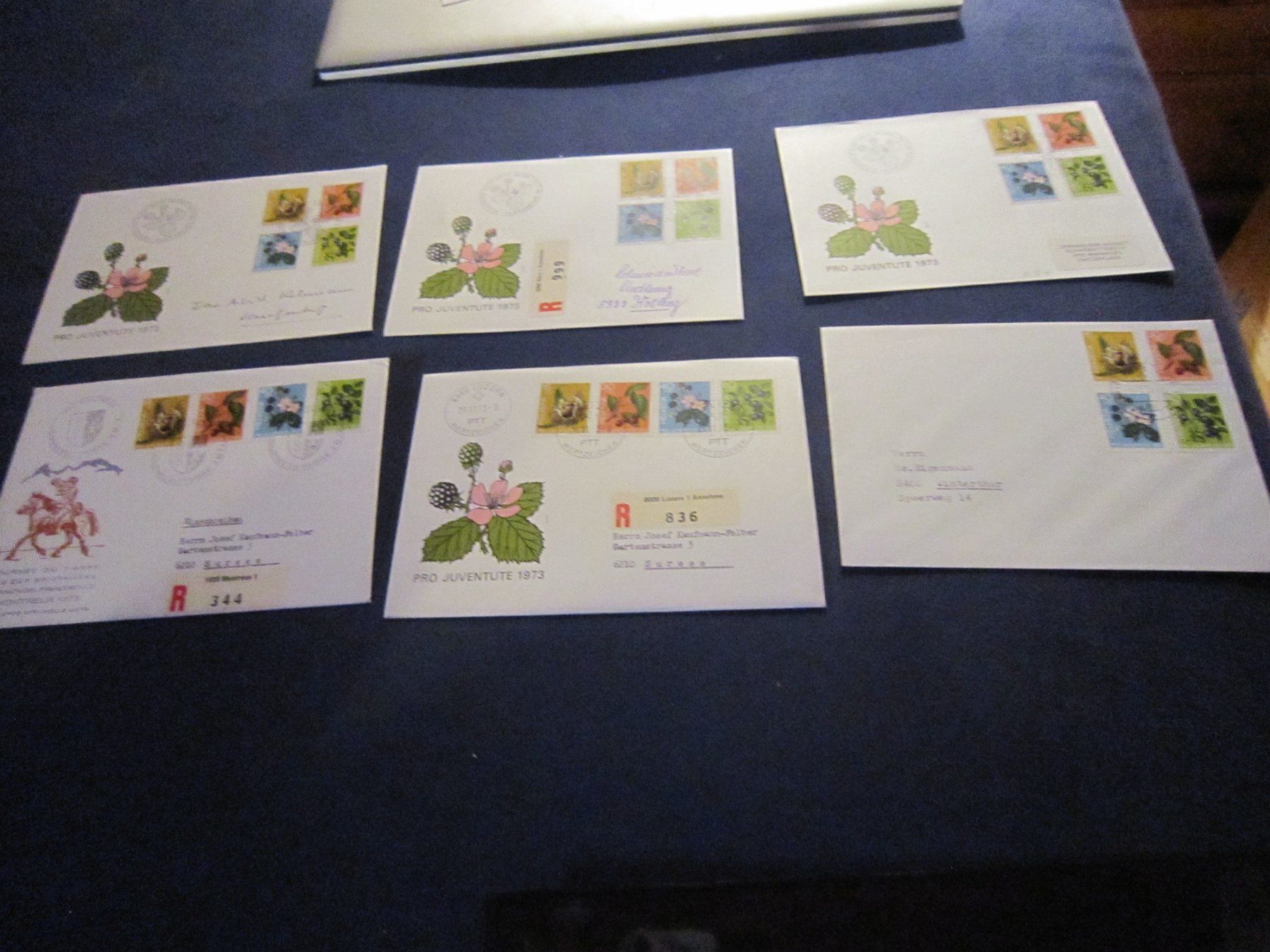 Tutti i francobolli: PJ 1973 FDC Serien – Usato da Gordola venduto da Polentaefung